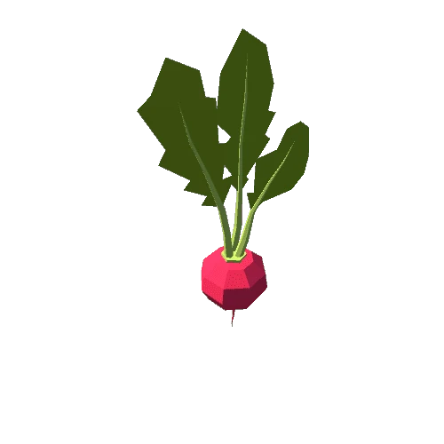 Radish A